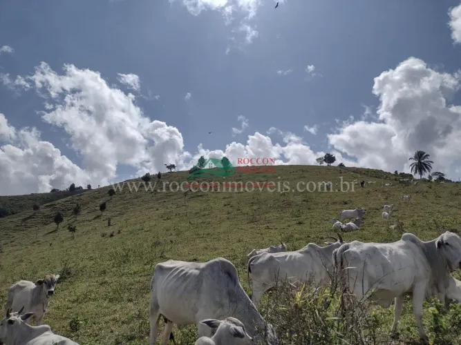 FAZENDA EM ITAMARAJU/BA ESCRITURADO E REGISTRADO