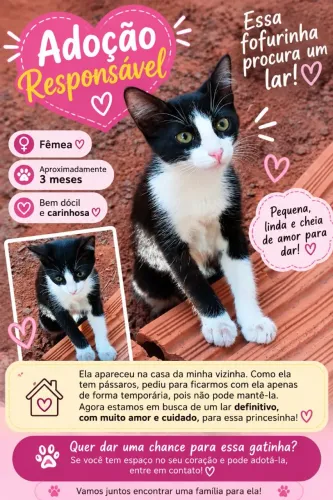 Gatinha filhote em busca de um lar ?