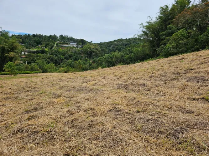 Chácara com escritura registrada Mogi das Cruzes Vila Moraes