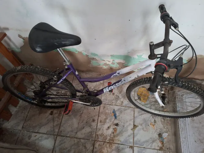 Bicicleta aro 24