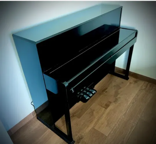 Piano Digital Casio Privia PX-S1000