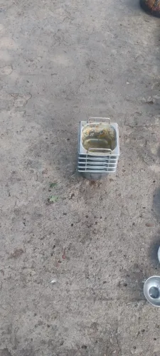 Bandejas 
