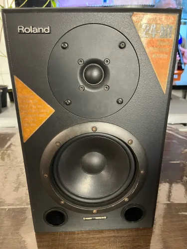 Par de Monitores de áudio Roland DS-90