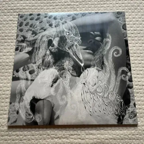 LP Vespertine - Bjork (Vinil duplo preto) Lacrado