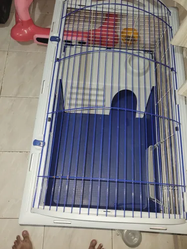 Gaiola para roedores 