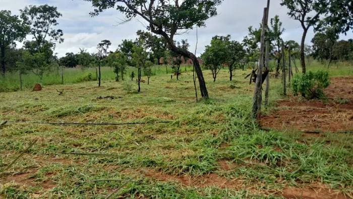 Lote de 1.000 metros na Rajadinha ll 