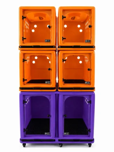 Canil rotomoldado torre 6 lugares duplo laranja e módulos roxos .