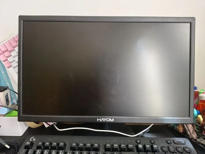 MONITOR HAYON