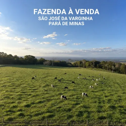 Fazenda 57ha Riquíssima em Água, Vista Incrível, 2km do Asfalto, Terra Vermelha