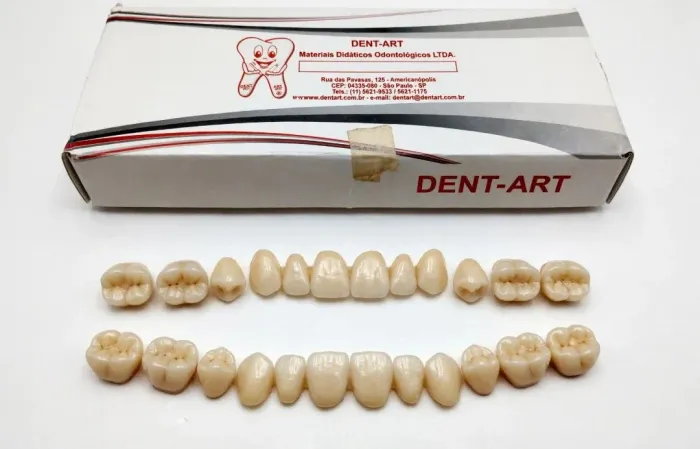 KIT 16 DENTES DIDÁTICOS - DENT-ART - NOVO NA CAIXA!<br>