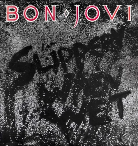 LP Vinil Slippery When Wet