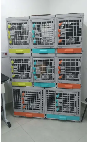 Canil e Gatil Izzy - Gaiola para Petshop