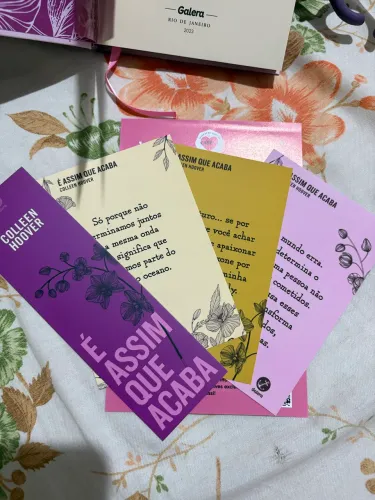 Livro É Assim que Acaba Colecionador Colleen Hoover