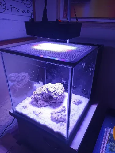 Aquário com Sump 40x40x50cm 80 litros e móvel com armário, em ótimo estado