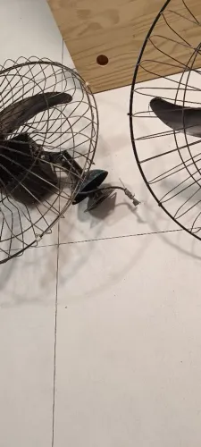 Ventilador de parede ventisul 60 cm