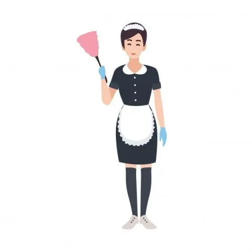 Sou domestica