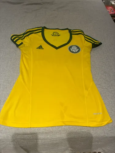 Camiseta oficial do Brasil/ Palmeiras semi nova