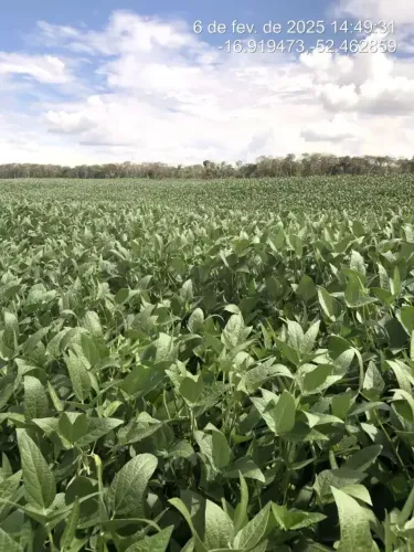 Imóvel rural, 1742000 m² no GO em Doverlândia