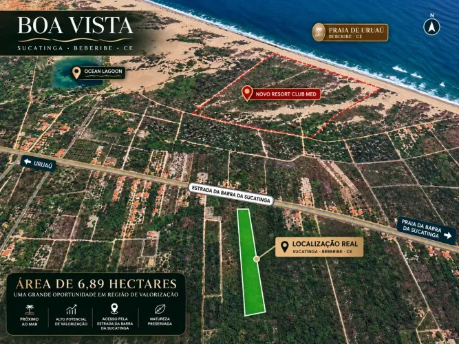 Área de 6,89 Hectares na Praia da Barra da Sucatinga, Beberibe | Ideal para Empreendimento