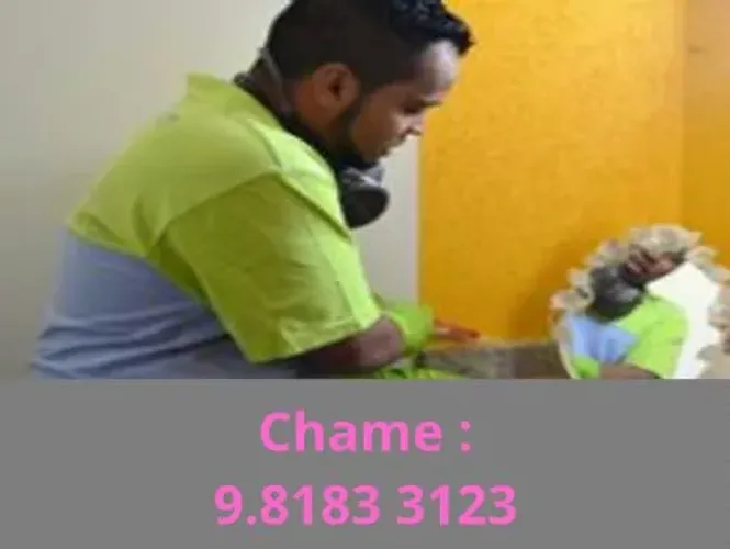 Dedetização