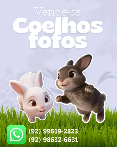 Coelhos