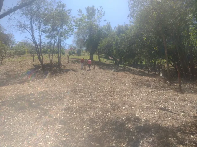 ?Vende-se Chácara em Itapetininga/SP ?