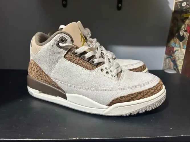 Air Jordan 3 Palomino  