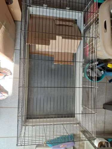 Gaiola para porquinho da Índia ferplast