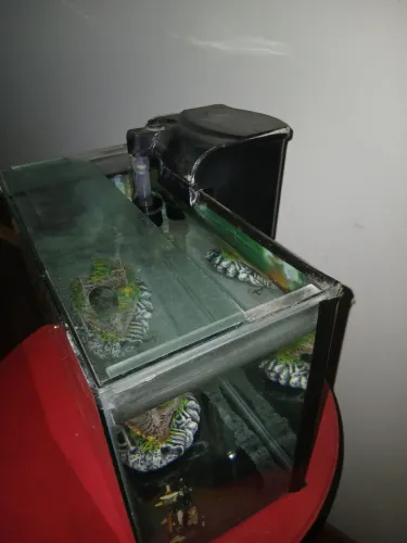 Aquário