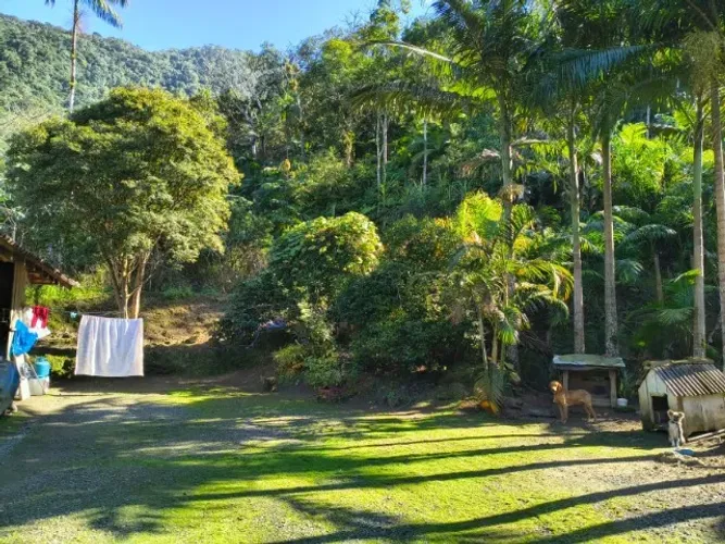 Chácara à Venda - Excelente Oportunidade! No Quiriri c/ 3800m²