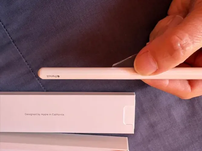 Apple Pencil 2 (segunda geração).
