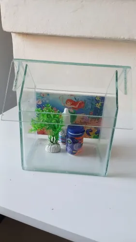 Aquário infantil