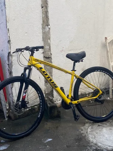 Bicicleta Lotus Aro 29