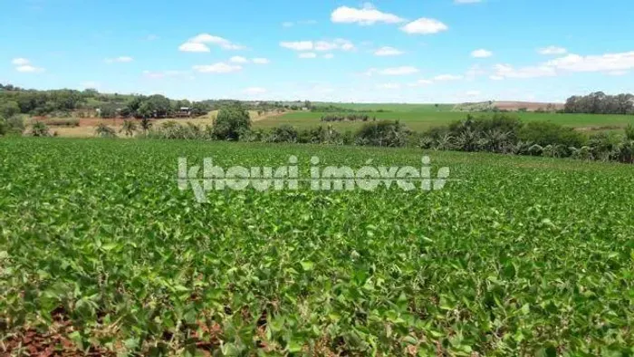 Sítio à venda em Sarandi, NÃO INFORMADO, com 5 quartos, com 5 alqueires