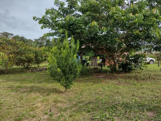 Vendo sítio sentido Jaci Paraná br 364