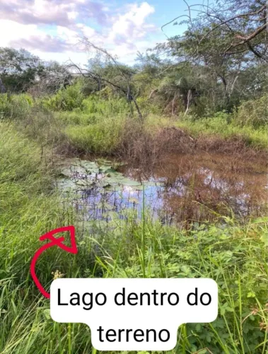 Vendo ou troco terreno 1 tarefa no retiro