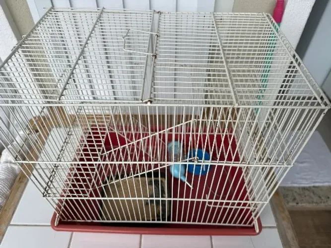 Gaiola hamster