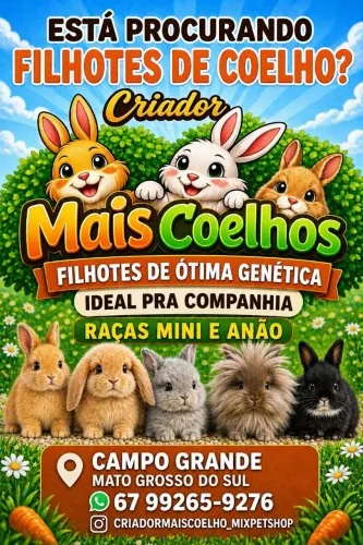 Raças Mini e Anão Variados Valores