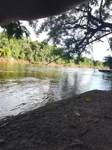 Chácara na beira do rio Aquidauana, Palmeiras
