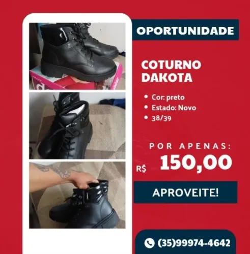Coturno dakota
