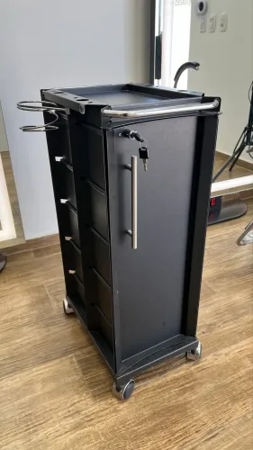 Carrinho Organizador