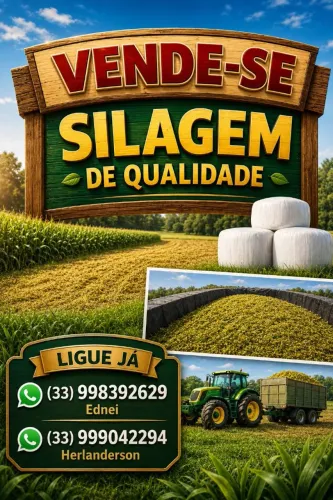 Silagem