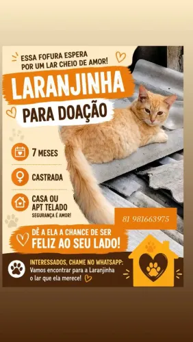 Gata