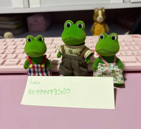 Sylvanian family sapos