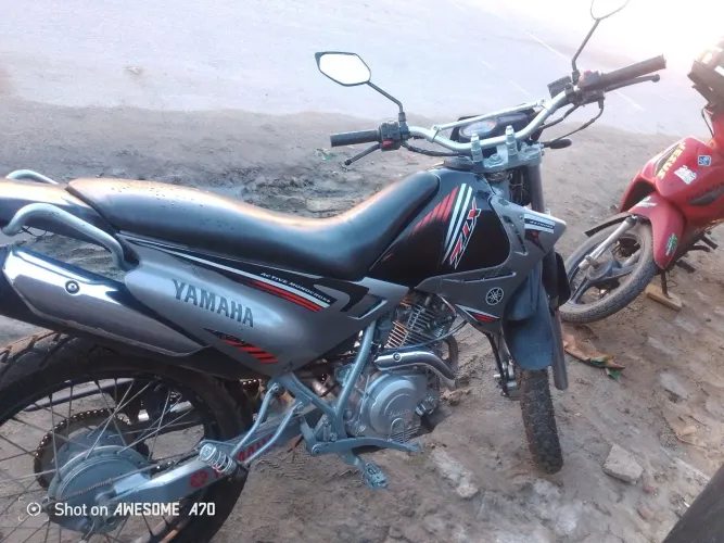 Moto boa