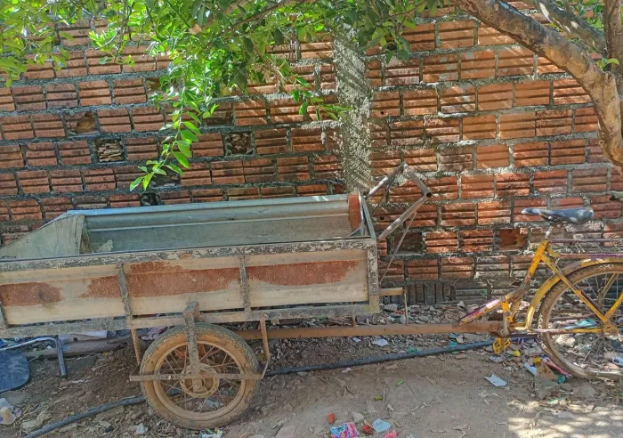 carrinho 650 em santana
