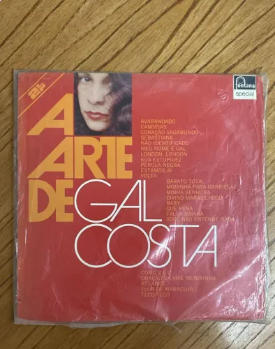 2 LP de vinil a arte de gal costa 