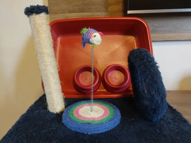 Kit para gato: arranhador/brinquedo/caixa/pote
