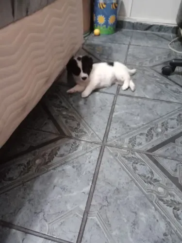 Doação 