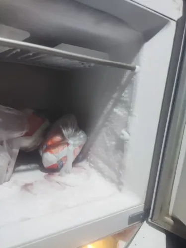 Vendo essa geladeira 